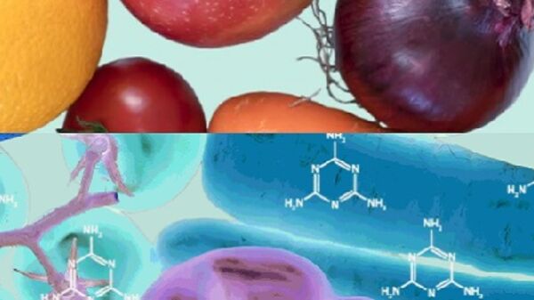 Fruit and vegetables displayed as their chemical composition and as real