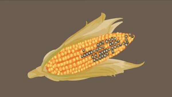 Mycotoxins and Climate Change - How Europe contributes to global efforts